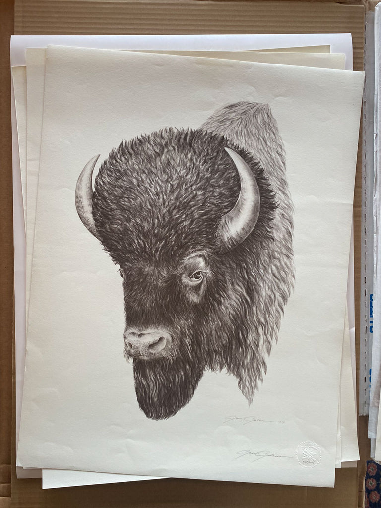 Buffalo art by Gene Galasso
