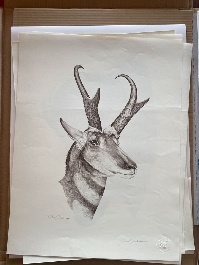 Antelope art by Gene Galasso