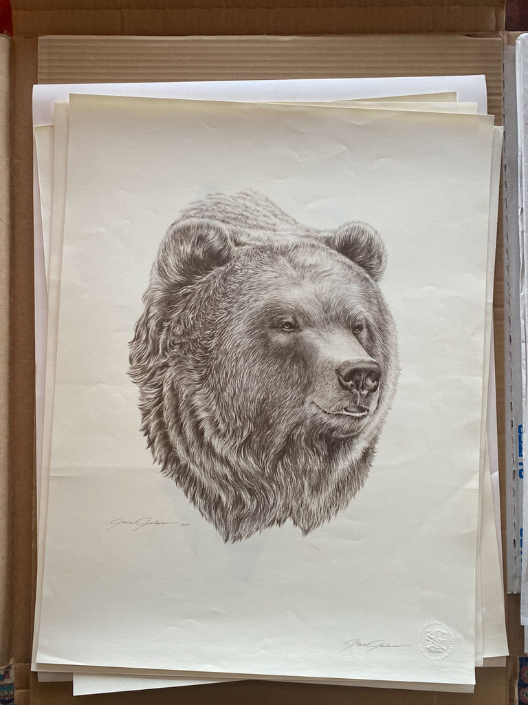 Grizzly bear art by Gene Galasso