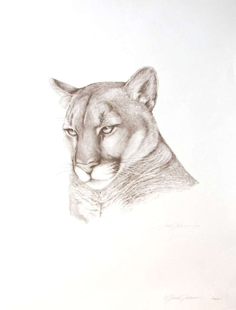 Mountain lion print by wildlife artist Gene Galasso