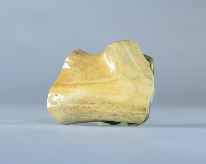 polished antler belt buckle vintage